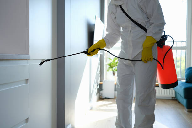 Mold Removal and Inspection in Hempstead, TX